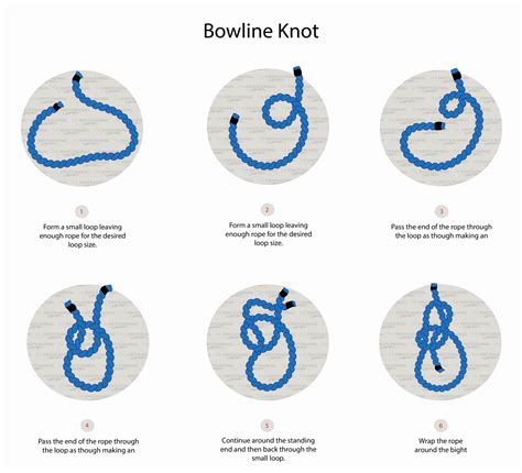 Knot 錶盤系列 .